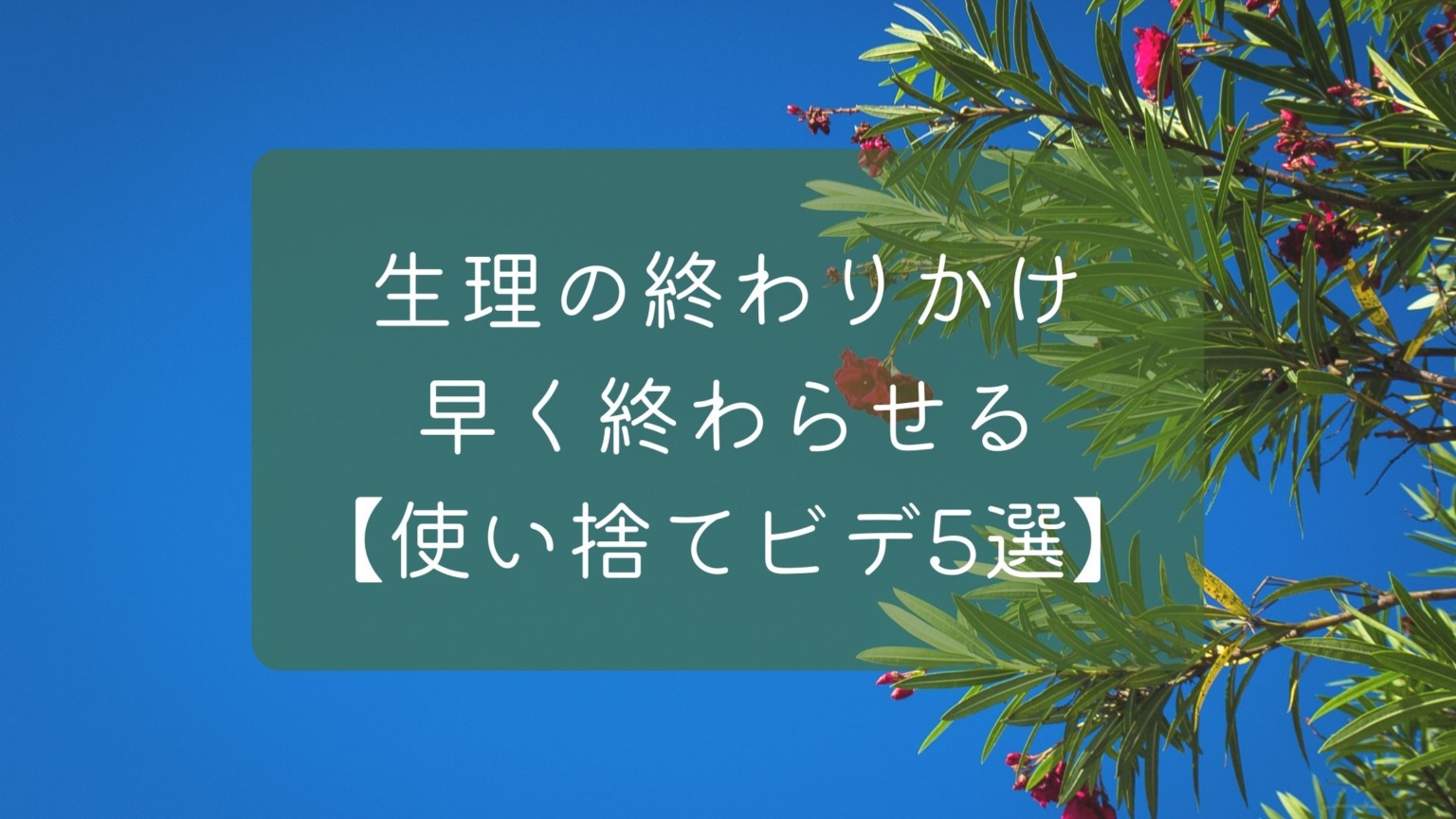 生理の終わりかけを洗浄して早く終わらせる【使い捨てビデ5選】スッキリ快適! レディースポケット生理用品まとめサイト 生理の終わりかけを洗浄して早く終わらせる【使い捨てビデ5選】スッキリ快適! レディースポケット生理用品まとめサイト