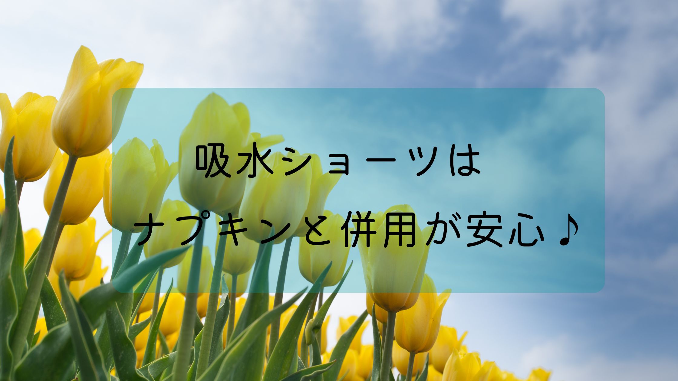 吸水ショーツはナプキンと併用から始めるのが安心 おりもの対策にも 臭いやかたまりの対処法 レディースポケット 生理用品まとめサイト