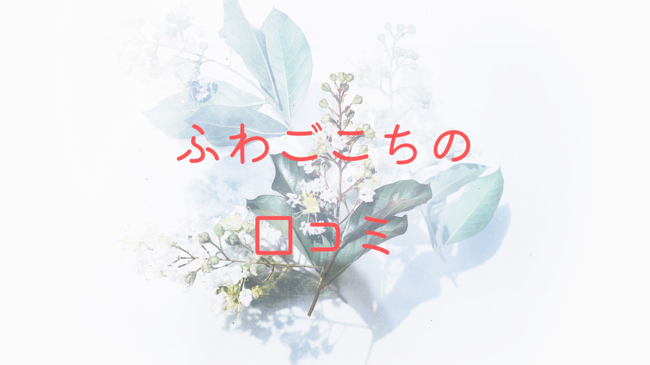 ふわごこちのおりものシート 口コミはアルパカのことが多い 実際の使い心地をレビュー レディースポケット 生理用品まとめサイト ふわごこちのおりものシート 口コミはアルパカのことが多い 実際の使い心地をレビュー レディースポケット 生理用品まとめサイト