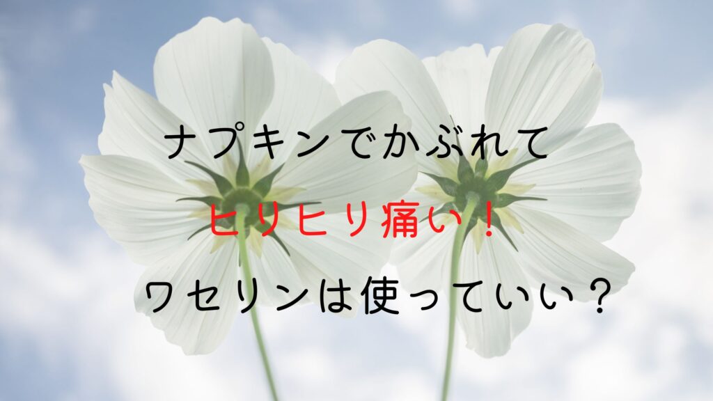 デリケートゾーン レディースポケット 生理用品まとめサイト
