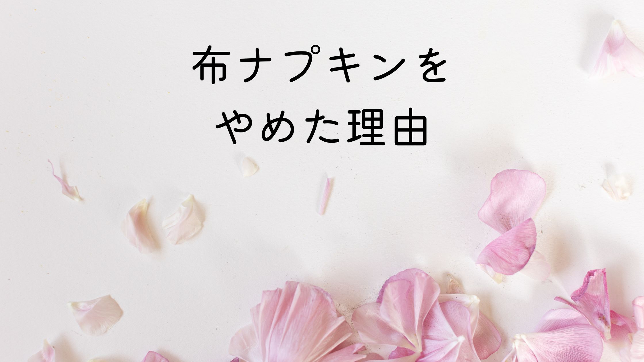 布ナプキンやめたのは5つの理由だった めんどくさいしどこに売ってるかわからない レディースポケット 生理用品まとめサイト