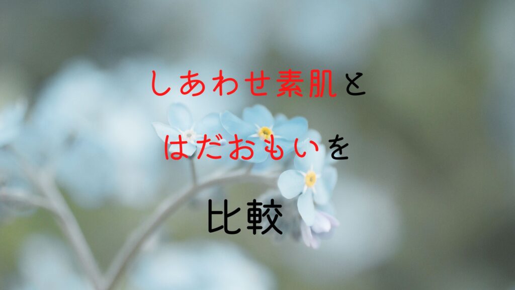 ナプキン レディースポケット 生理用品まとめサイト